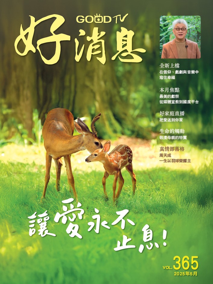 第365期