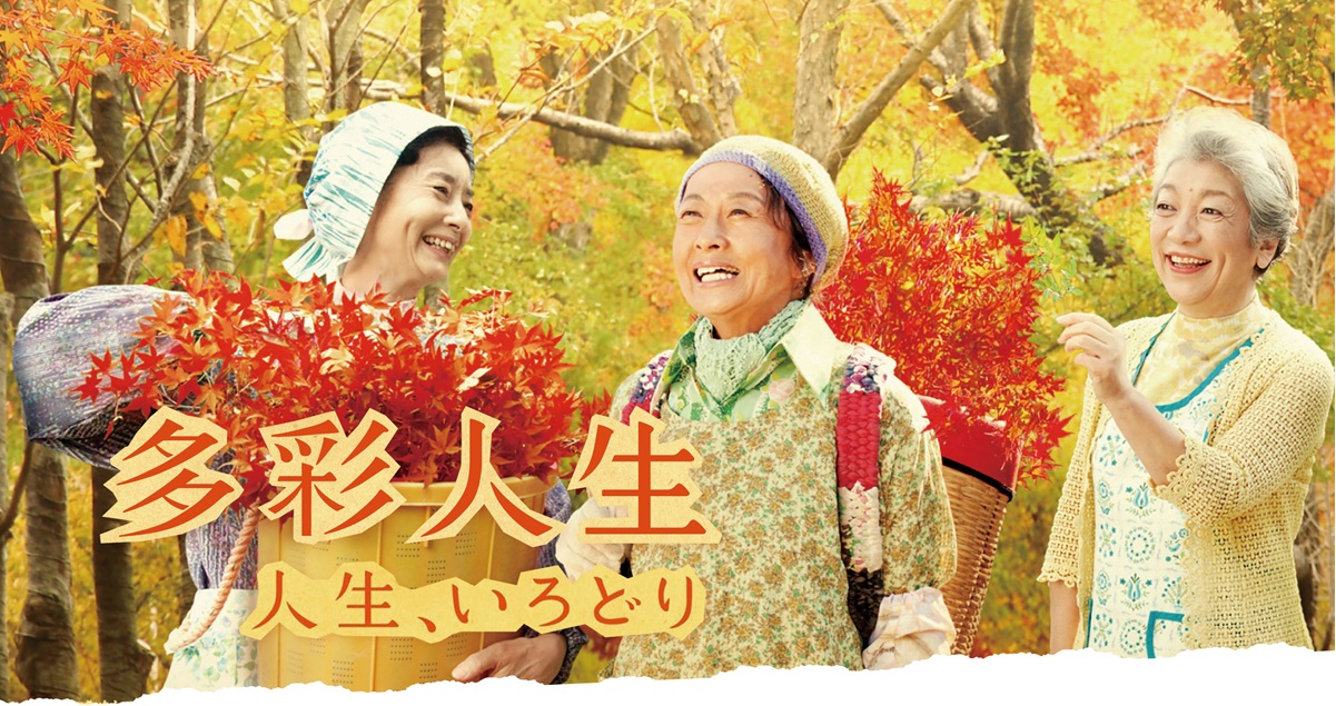 多彩人生