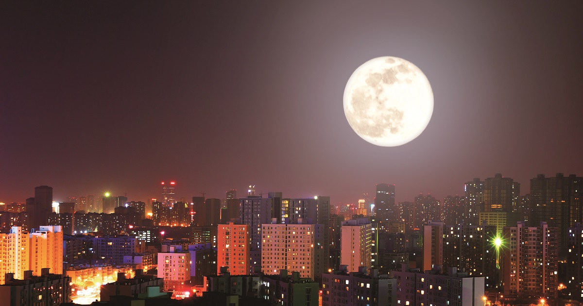 相關文章圖片