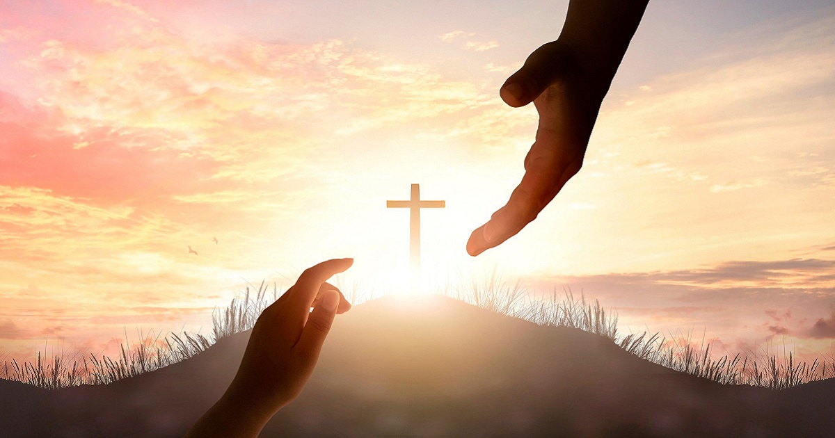 十一月特選信息主題　高山低谷 隨時感恩