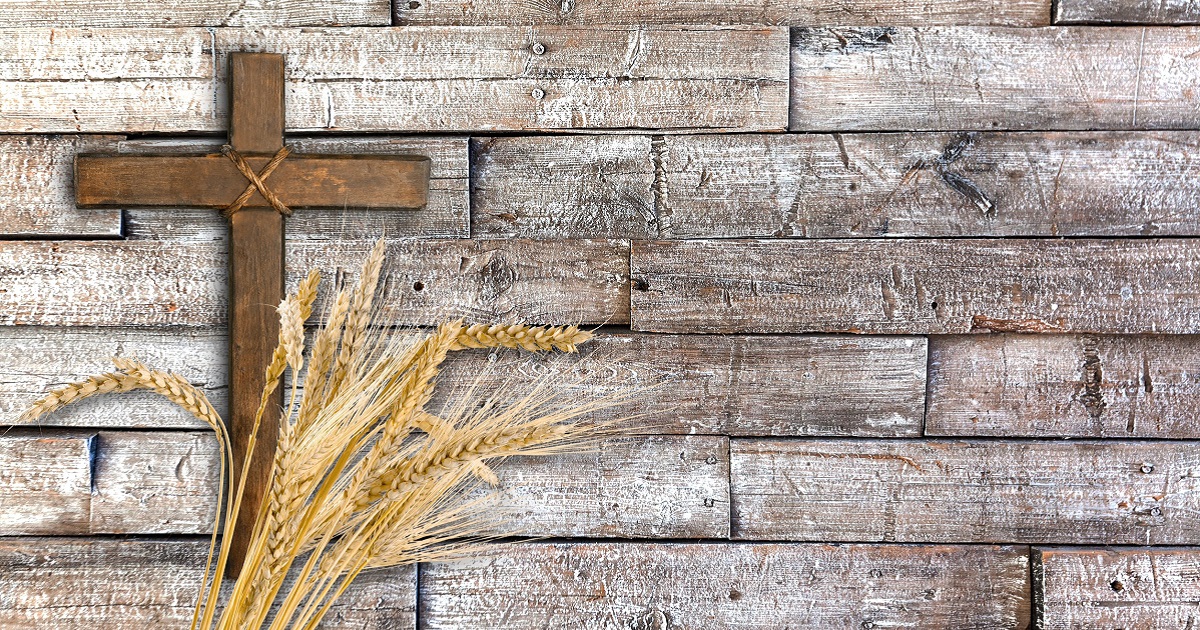 一粒麥子落在地裡死了  美國信仰領袖柯克事件之省思