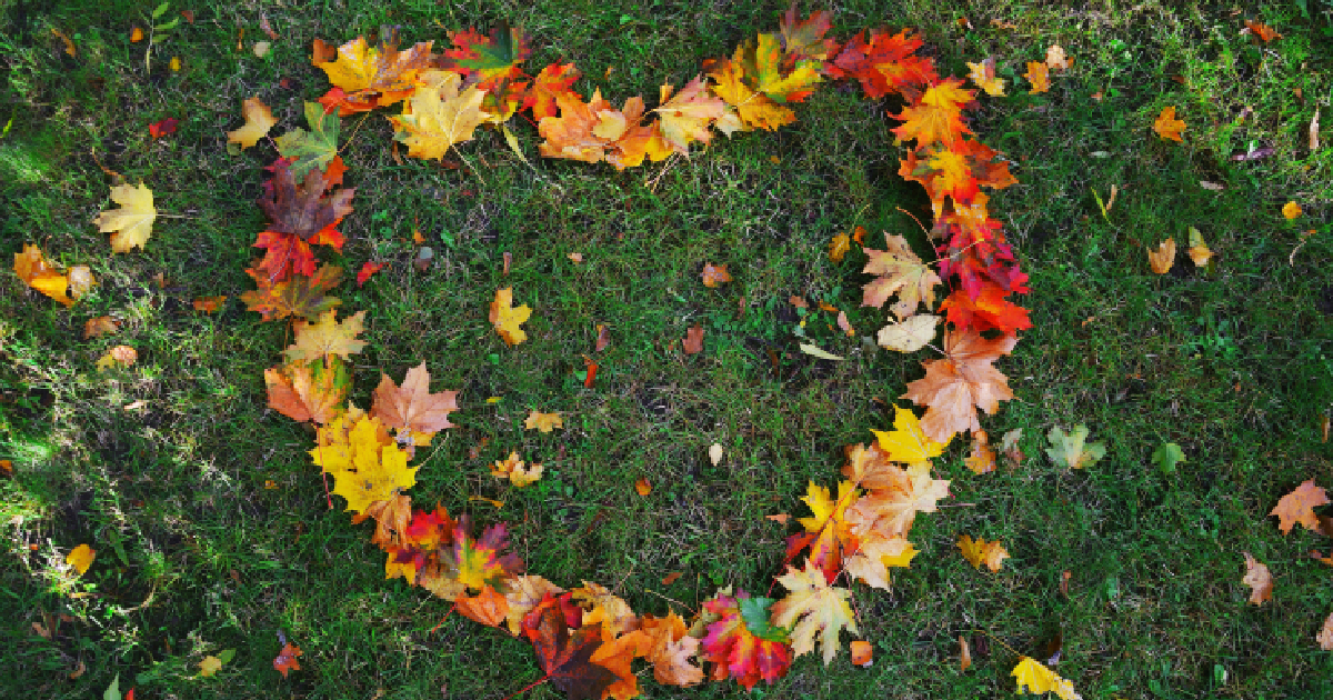 十一月節目特寫