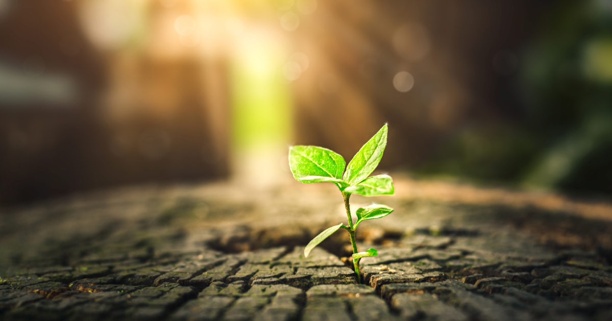 期待神蹟？仍該努力！