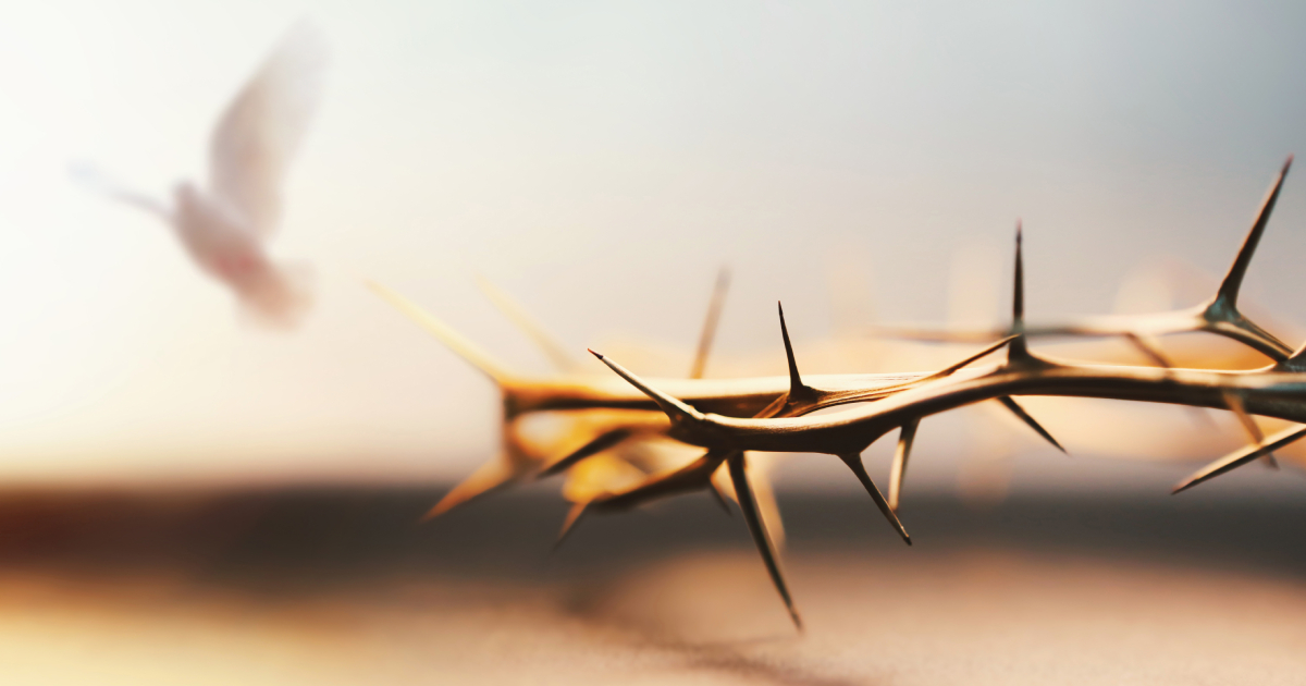 《空中禮拜堂》  與主復活一同坐在天上